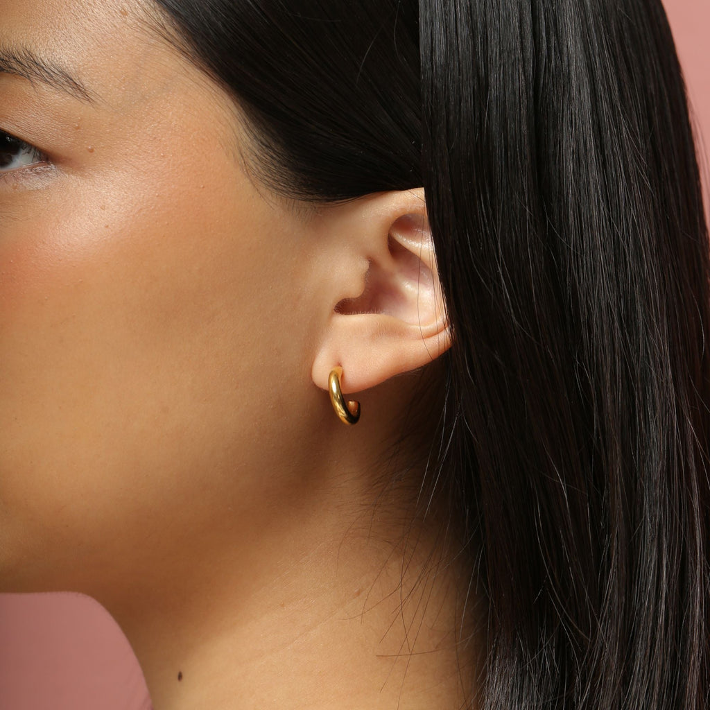 Mini Cali Hoops - Cali Tiger